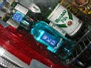 100-0043_IMG.JPG